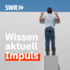 Wie lässt sich Munition in Nord- und Ostsee beseitigen? Download