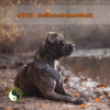 GV 33_Selbstwirksamkeit Download