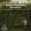 Wann ist eine Hecke eine Hecke? Download