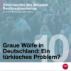 Graue Wölfe in Deutschland: Ein türkisches Problem?