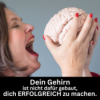 #58 - Dein Gehirn ist nicht dafür gebaut, dich erfolgreich zu machen. Download