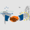 EU und Mercosur – eine strategische Partnerschaft Download