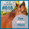 018 Das ideale Pferd