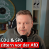 #161: Kettensägen, Angst & Futtertröge – Das wahre Gesicht von CDU & SPD Download