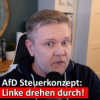 #251: Grüne & Linke attackieren das AfD-Steuerkonzept – weil es zu gut funktioniert? Download