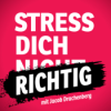 #13 Stress ist nicht dein Gegner - weniger anstrengenden Kampf mit dieser Perspektive - Teil 2/2 Download