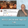 Erfahrungen zu braunem Rauschen für Hunde (Episode 46)
