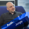 Audit-Jungle Download