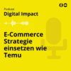 E-Commerce Strategie einsetzen wie Temu Download