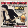 Wer ist hier der Boss? Springsteen im Kino mit Sassan Niasseri (34) Download