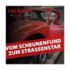 Vom Scheunenfund zum Straßenstar – Die spirituelle Reise eines VW Käfers | Matthias Ehmann Download