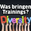 TBOR Deep Dive | Was sind Diversity Trainings_ (TEIL 1) Download