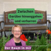 #011 Alltagsfocusing