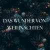 Maria - Gott ist nichts unmöglich! | Das Wunder von Weihnachten (2/4) I Lorenz Kopp am 07.12.25 Download