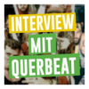 Radio Hitwave – Interview mit Querbeat Download