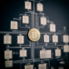 Bitcoin's Ursprung Download
