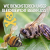 Wie Bienensterben unser Gleichgewicht beeinflusst. Download