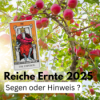 Reiche Ernte 2025 Segen oder Hinweis? Download