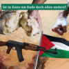 Ist in Gaza am Ende doch alles anders? Download