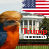 Ist Trump wirklich so unmöglich? Ist er ein Wendehals? Download