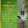 Bushcraft & Wildnispädagogik: Was es bedeutet, tief mit der Wildnis verbunden zu sein Download
