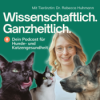 Medical Training für Katzen – stressfrei zum Tierarzt