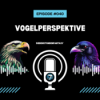 040 - Allen, Jackson oder doch Burrow? - Vogelperspektive Download