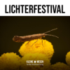 E1: Lichterfestival Download