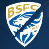 Brescia Calcio: Wie ein Investor den Traditionsverein zerstört hat! Download