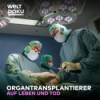 Ein Wettlauf gegen die Zeit – Alltag im Organtransplantations-Team Download