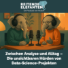Reitende Elefanten 004: Zwischen Analyse und Alltag – Die unsichtbaren Hürden von Data-Science-Projekten