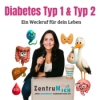 Diabetes Typ 1 vs. Typ 2 – der entscheidende Unterschied Download