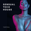 Sensual Tech House Set #1 Download