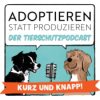 Kurz und Knapp! Qualzucht bei Katzen