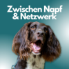 Hundebetreuung neu gedacht: Weniger Hunde, mehr Beziehung mit Nina Riehn