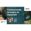 Faszinierende Grundeln im Aquarium (Julia Bindl) Download