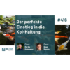 416: Der perfekte Einstieg in die Koi-Haltung – Wissen vom Experten (Martin Kammerer & Sven Stamm) Download