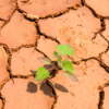 EU: Rechte und Konservative gefährden Klimaziele