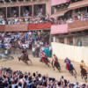 Touristenmagneten: Das Palio di Siena und die Sassi in Matera