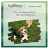 P168: Futter im Dummytraining – Hilfe oder Hindernis? Download