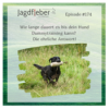 P174: Wie lange dauert es bis dein Hund Dummytraining kann? Die ehrliche Antwort! Download