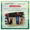P179: Fußarbeit im Gruppentraining - Ab wann ist der beste Zeitpunkt? Download