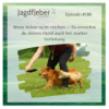 P180: Wenn Kekse nicht reichen – So erreichst du deinen Hund auch bei starker Verleitung Download