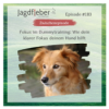P183: Fokus im Dummytraining: Wie dein klarer Fokus deinem Hund hilft Download