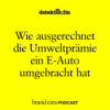 Wie ausgerechnet die Umweltprämie ein E-Auto umgebracht hat