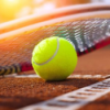 Drapermania vorbei - Struff weiter - Collins und Swiatek wieder gegeneinander Download