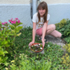 Wasser für die Bienen: Bienentränke selbst bauen Download