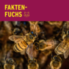 Faktenfuchs: Bienen Download