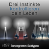 #197 - Die Überlebensängste unter deinen Instinkten (Enneagramm-Subtypen)