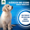 #113 Hundediebstahl Download